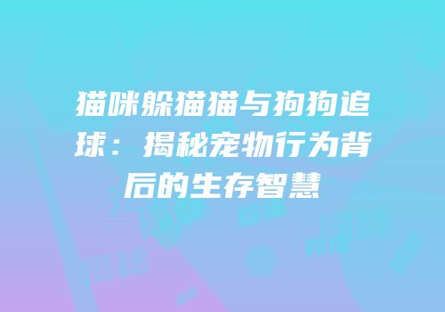 猫咪躲猫猫与狗狗追球：揭秘宠物行为背后的生存智慧