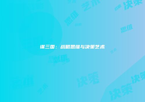 谋三国：战略思维与决策艺术