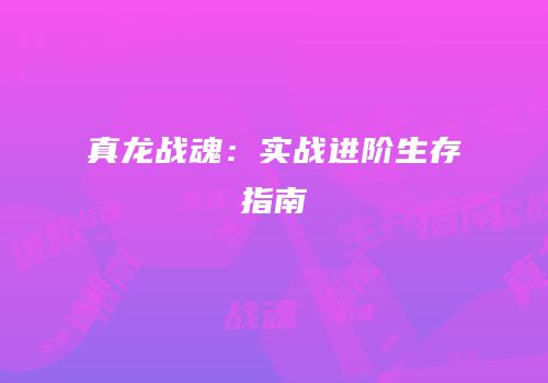 真龙战魂：实战进阶生存指南