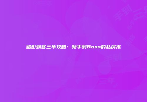 暗影刺客三年攻略：新手到Boss的私房术