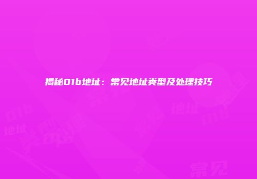 揭秘01b地址：常见地址类型及处理技巧