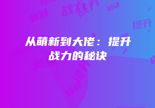 从萌新到大佬：提升战力的秘诀