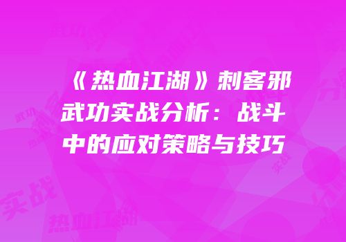 《热血江湖》刺客邪武功实战分析：战斗中的应对策略与技巧