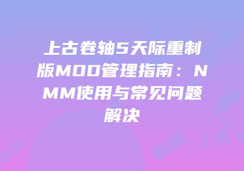上古卷轴5天际重制版MOD管理指南：NMM使用与常见问题解决