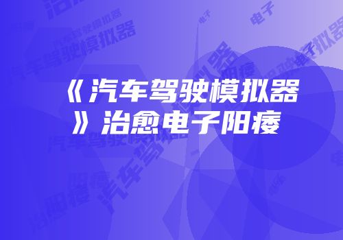 《汽车驾驶模拟器》治愈电子阳痿