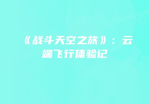 《战斗天空之旅》：云端飞行体验记