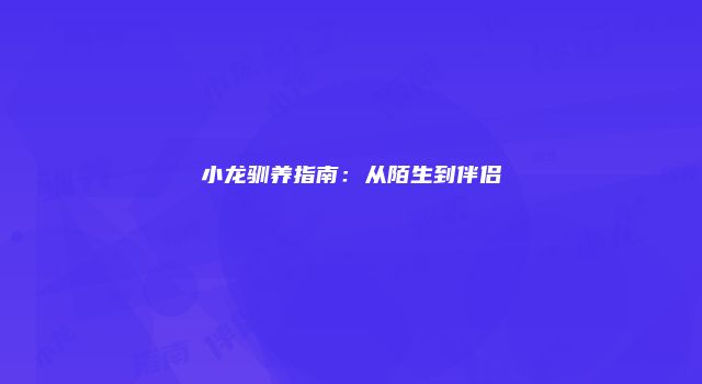 小龙驯养指南：从陌生到伴侣