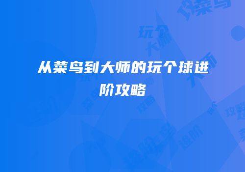 从菜鸟到大师的玩个球进阶攻略