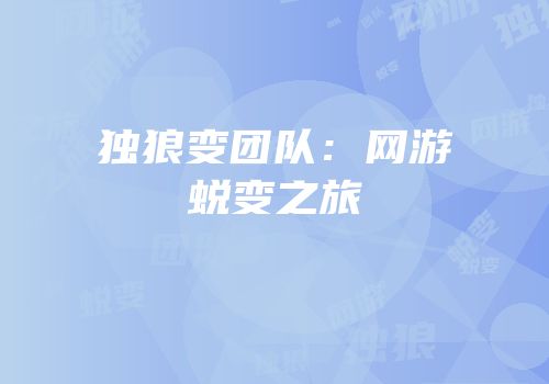 独狼变团队：网游蜕变之旅