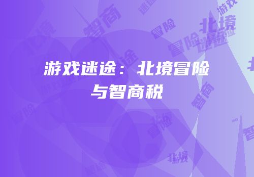 游戏迷途：北境冒险与智商税