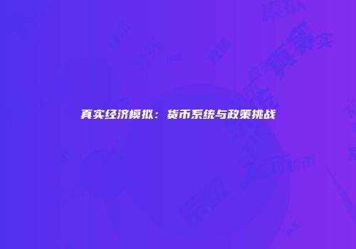 真实经济模拟：货币系统与政策挑战
