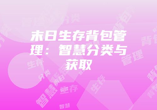 末日生存背包管理：智慧分类与获取