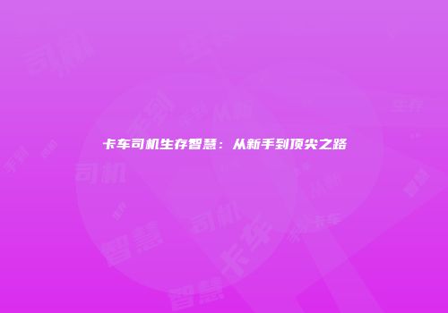 卡车司机生存智慧：从新手到顶尖之路
