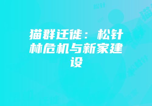猫群迁徙：松针林危机与新家建设