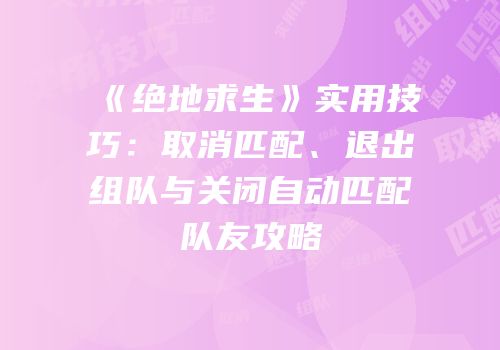 《绝地求生》实用技巧：取消匹配、退出组队与关闭自动匹配队友攻略