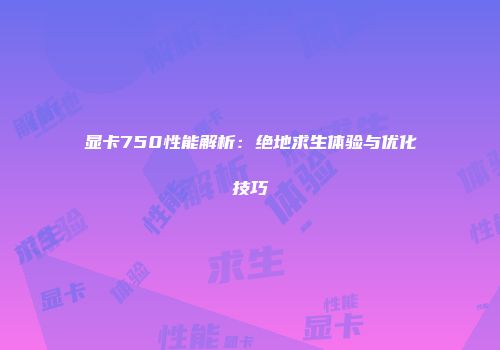 显卡750性能解析：绝地求生体验与优化技巧