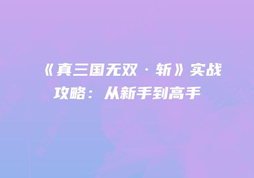 《真三国无双·斩》实战攻略：从新手到高手