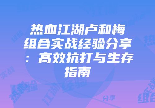 热血江湖卢和梅组合实战经验分享：高效抗打与生存指南