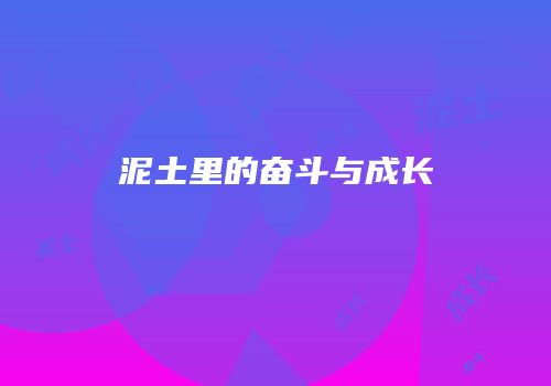 泥土里的奋斗与成长