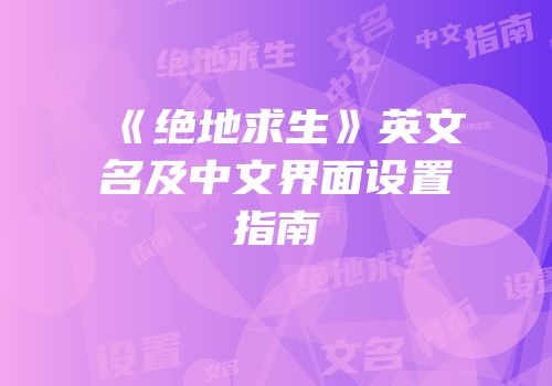 《绝地求生》英文名及中文界面设置指南