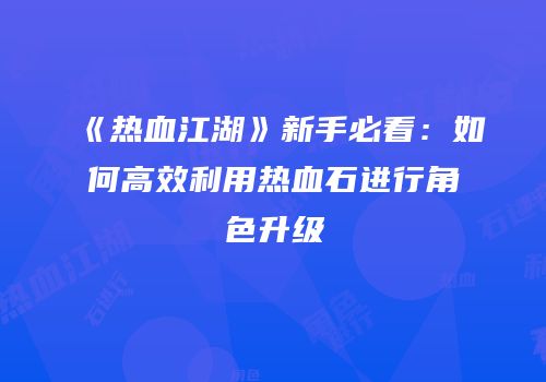 《热血江湖》新手必看:如何高效利用热血石进行角色升级