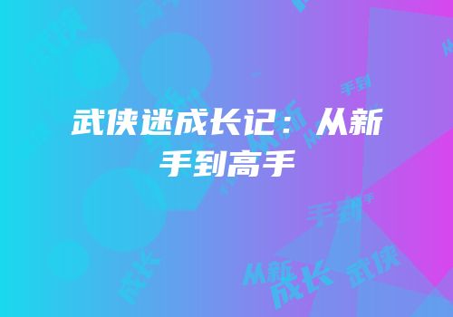 武侠迷成长记：从新手到高手