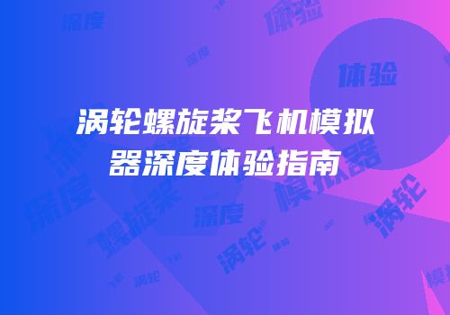 涡轮螺旋桨飞机模拟器深度体验指南