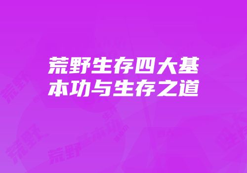 荒野生存四大基本功与生存之道