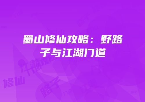 蜀山修仙攻略：野路子与江湖门道