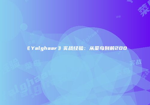 《Yalghaar》实战经验：从菜鸟到前200