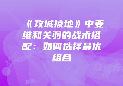 《攻城掠地》中姜维和关羽的战术搭配：如何选择最优组合