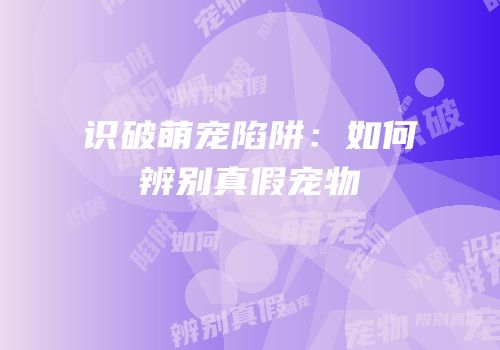 识破萌宠陷阱：如何辨别真假宠物