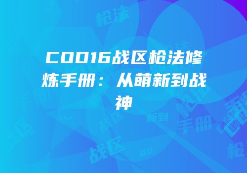 COD16战区枪法修炼手册：从萌新到战神