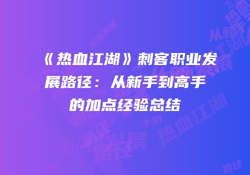 《热血江湖》刺客职业发展路径：从新手到高手的加点经验总结