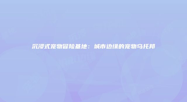沉浸式宠物冒险基地：城市边缘的宠物乌托邦