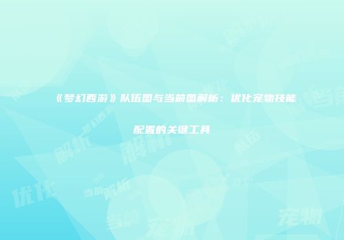 《梦幻西游》队伍图与当前图解析：优化宠物技能配置的关键工具