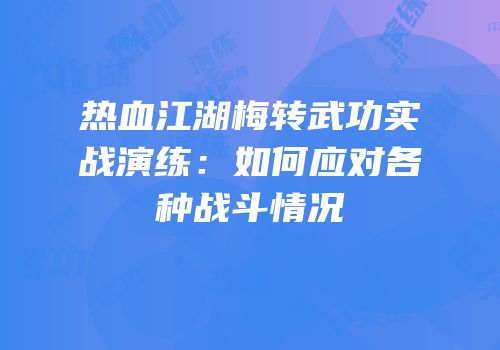 热血江湖梅转武功实战演练:如何应对各种战斗情况