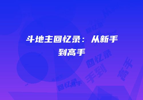 斗地主回忆录：从新手到高手