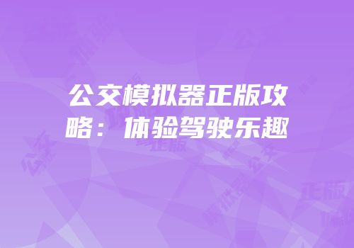 公交模拟器正版攻略:体验驾驶乐趣