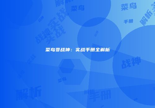 菜鸟变战神：实战手册全解析