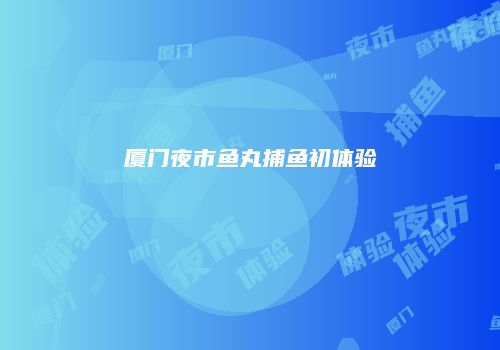 厦门夜市鱼丸捕鱼初体验