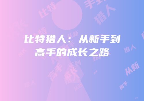 比特猎人：从新手到高手的成长之路