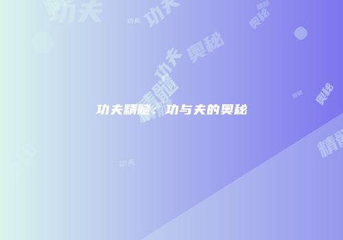 功夫精髓：功与夫的奥秘