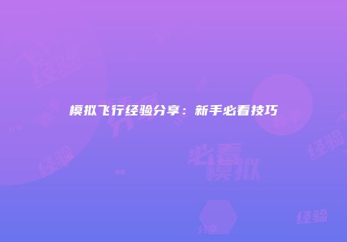 模拟飞行经验分享：新手必看技巧