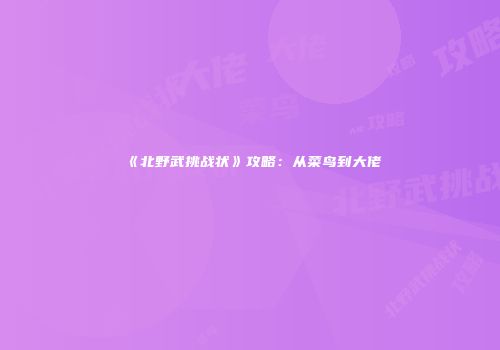 《北野武挑战状》攻略：从菜鸟到大佬