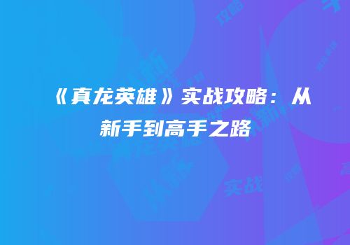 《真龙英雄》实战攻略：从新手到高手之路