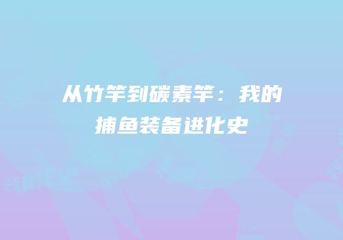 从竹竿到碳素竿：我的捕鱼装备进化史