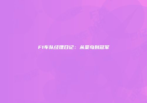 F1车队经理日记：从菜鸟到冠军