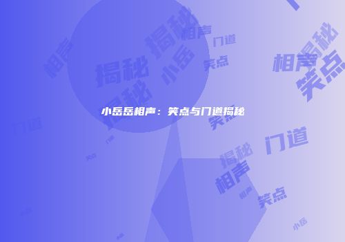 小岳岳相声：笑点与门道揭秘