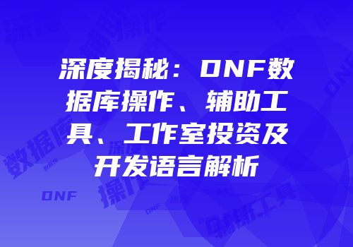 深度揭秘：DNF数据库操作、辅助工具、工作室投资及开发语言解析